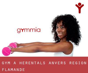 gym à Herentals (Anvers, Région Flamande)