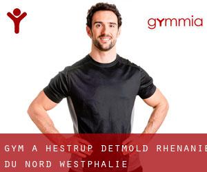 gym à Hestrup (Detmold, Rhénanie du Nord-Westphalie)