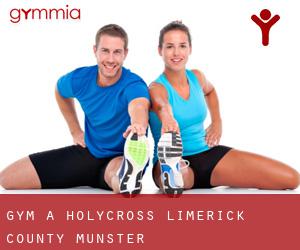 gym à Holycross (Limerick County, Munster)