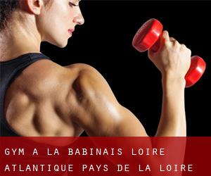 gym à La Babinais (Loire-Atlantique, Pays de la Loire)