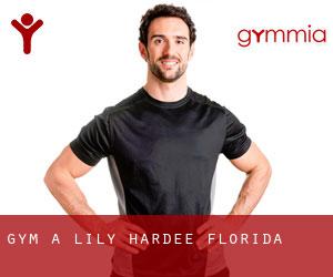 gym à Lily (Hardee, Florida)
