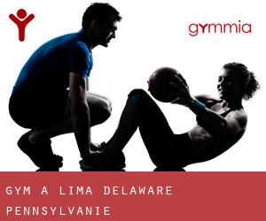 gym à Lima (Delaware, Pennsylvanie)