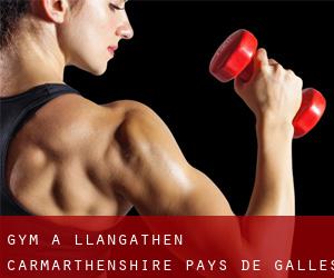 gym à Llangathen (Carmarthenshire, Pays de Galles)