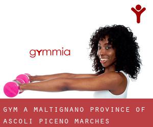 gym à Maltignano (Province of Ascoli Piceno, Marches)