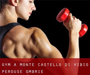 gym à Monte Castello di Vibio (Pérouse, Ombrie)