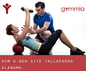 gym à New Site (Tallapoosa, Alabama)