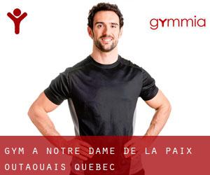 gym à Notre-Dame-de-la-Paix (Outaouais, Québec)