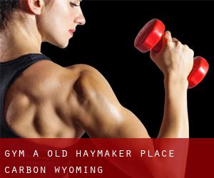 gym à Old Haymaker Place (Carbon, Wyoming)