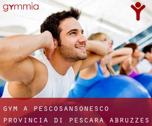 gym à Pescosansonesco (Provincia di Pescara, Abruzzes)