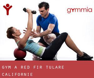 gym à Red Fir (Tulare, Californie)