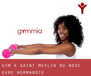 gym à Saint-Meslin-du-Bosc (Eure, Normandie)