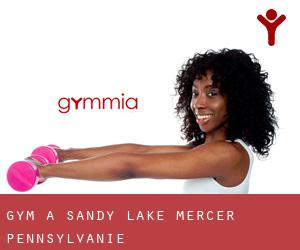 gym à Sandy Lake (Mercer, Pennsylvanie)
