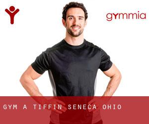 gym à Tiffin (Seneca, Ohio)