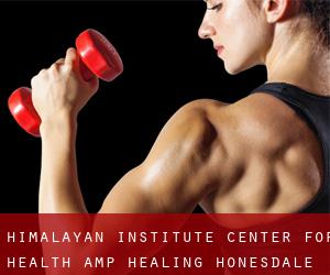 Himalayan Institute Center For Health & Healing (Honesdale)