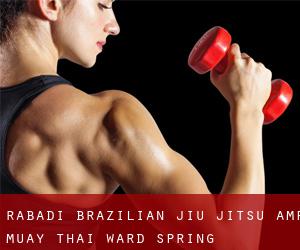 Rabadi Brazilian Jiu Jitsu & Muay Thai (Ward Spring)